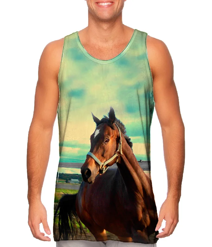 Comfortable And Casual Horse Out For A Run