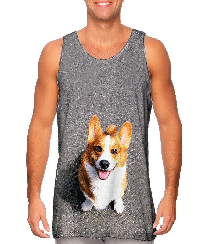 Celebrity Must-have Huggable Corgi